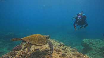 North Shore Dive Shop