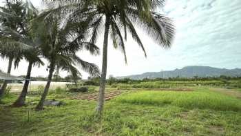 Kokua Learning Farm