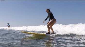 Hawaii Surf Guru