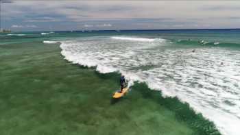 Hawaii Surf Guru