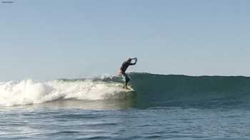 Hawaii Surf Guru