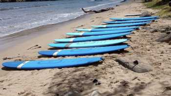 East Side Surfing School Kauai