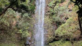 Wailua Homesteads Park