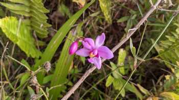 Wailua Game Management Area