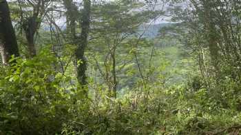 Wailua Game Management Area