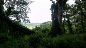 Wailua Game Management Area