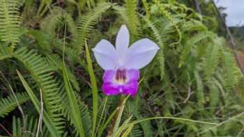 Wailua Game Management Area