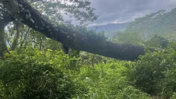 Wailua Game Management Area