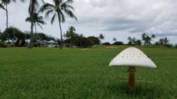 ‘Ewa Villages Golf Course