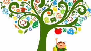 Discovery Tree Preschool