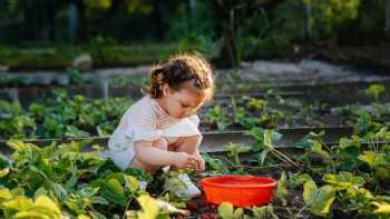 Mel's Learning Garden