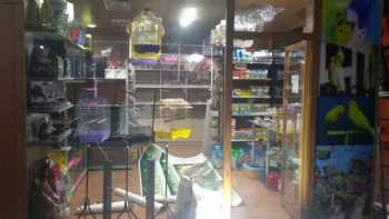 Hero PetShop