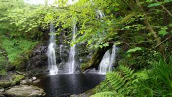 Glenariff Forest