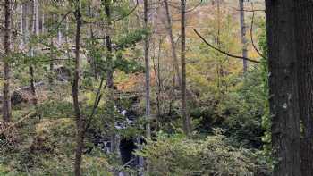 Parque Natural Glenariff