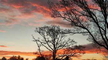 Far Forest Caravan Park