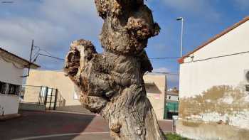 Colegio Público Altorricón - CRA Altorricón-Algayón-Vencillón