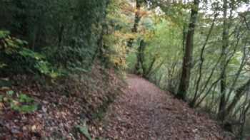 Cwmcarn Primary School