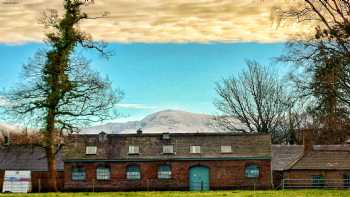 Ysgol Y Faenol