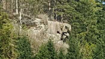 Plas Gwynant Outdoor Education Centre