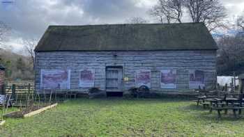 Woodland Classroom