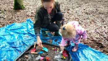 Nestlings Forest School and Nursery