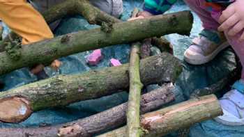 Nestlings Forest School and Nursery