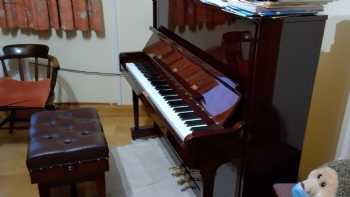 Lessons in Piano, Voice, Organ and Music Theory