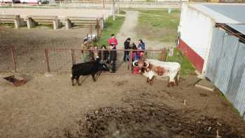 Centro Hípico Caño de la Vega