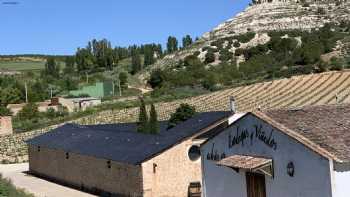 BODEGA ARBAS