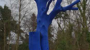 Blue Tree Project Nercwys