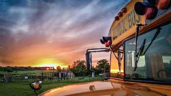 American School Bus Glamping