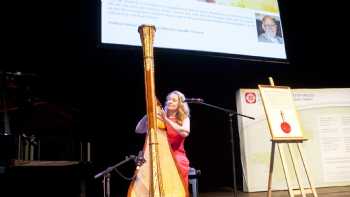 Glenda Clwyd Harpist / Telynores