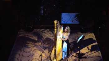 Glenda Clwyd Harpist / Telynores