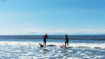 Coney Surf School