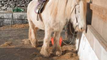 Porthmadog Activity and Riding Centre