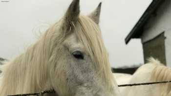 Porthmadog Activity and Riding Centre