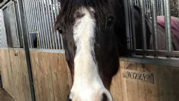 Porthmadog Activity and Riding Centre