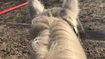 Porthmadog Activity and Riding Centre