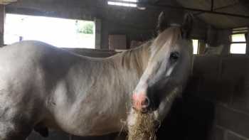 Porthmadog Activity and Riding Centre