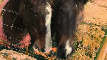 Porthmadog Activity and Riding Centre