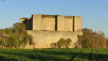 Castillo de Alfonso Téllez de Meneses (s. XIII - XV) (en ruinas)