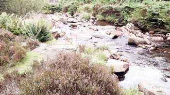 Rhondda River