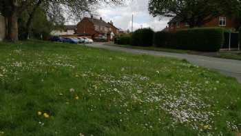 Holy Trinity C Of E Primary Academy & Nursery