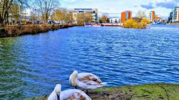 University of Lincoln