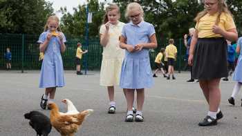 Brookdale Primary School