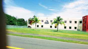 The Palmas Academy