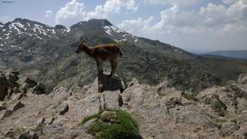 Calzada romana de la Sierra de Gredos