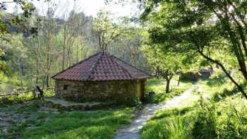 Forest School