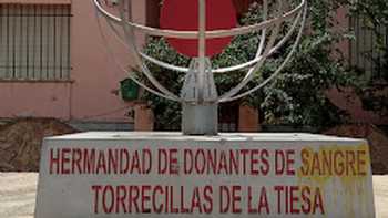 Estatua de la Hermandad de Donantes de Sangre, Torrecillas de la Tiesa