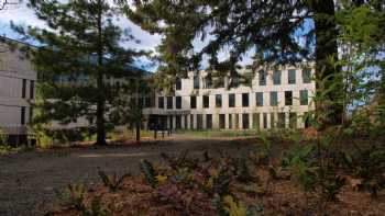 College of Forestry